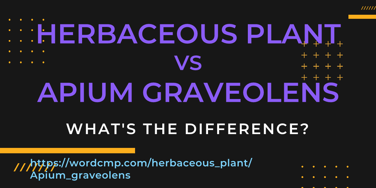 Difference between herbaceous plant and Apium graveolens