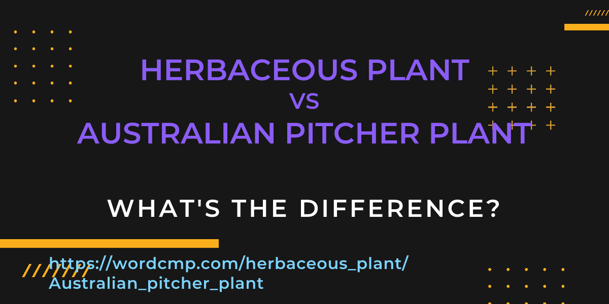 Difference between herbaceous plant and Australian pitcher plant