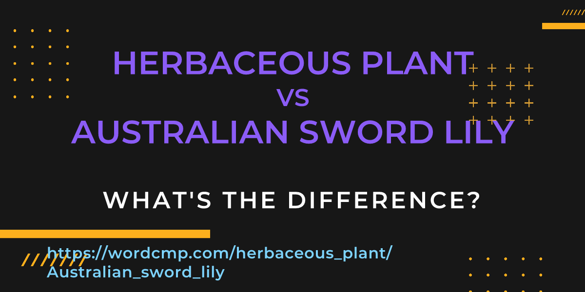 Difference between herbaceous plant and Australian sword lily
