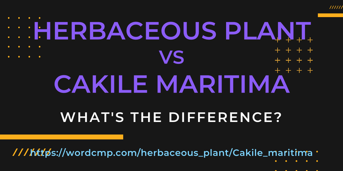 Difference between herbaceous plant and Cakile maritima
