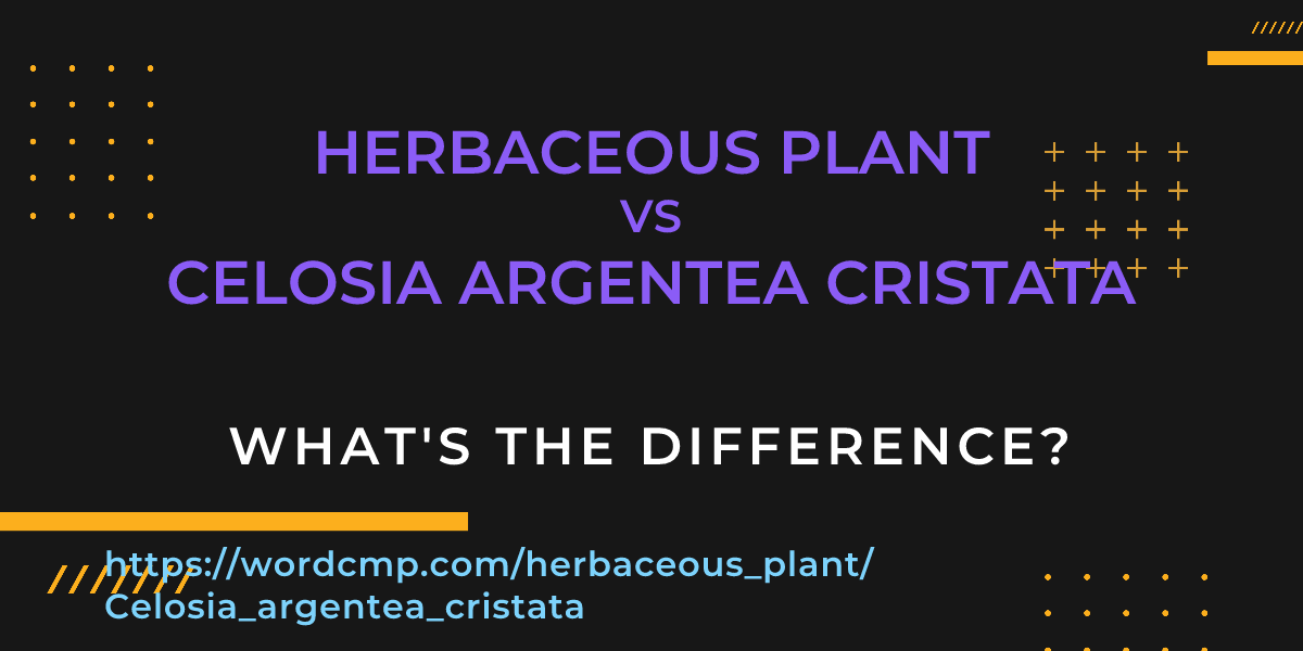 Difference between herbaceous plant and Celosia argentea cristata