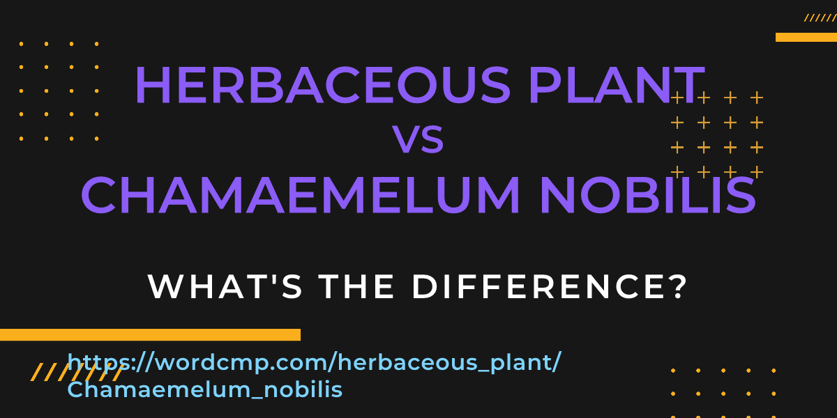 Difference between herbaceous plant and Chamaemelum nobilis