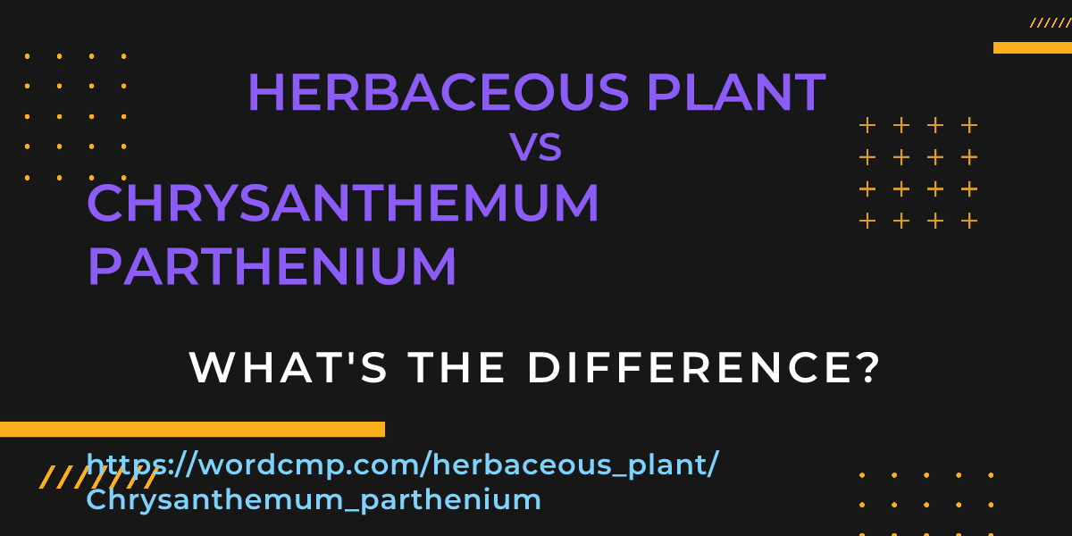 Difference between herbaceous plant and Chrysanthemum parthenium