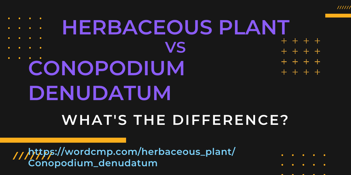 Difference between herbaceous plant and Conopodium denudatum