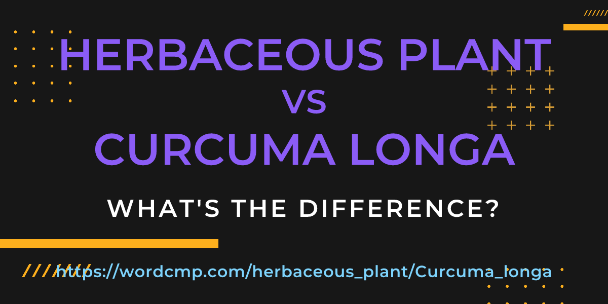 Difference between herbaceous plant and Curcuma longa