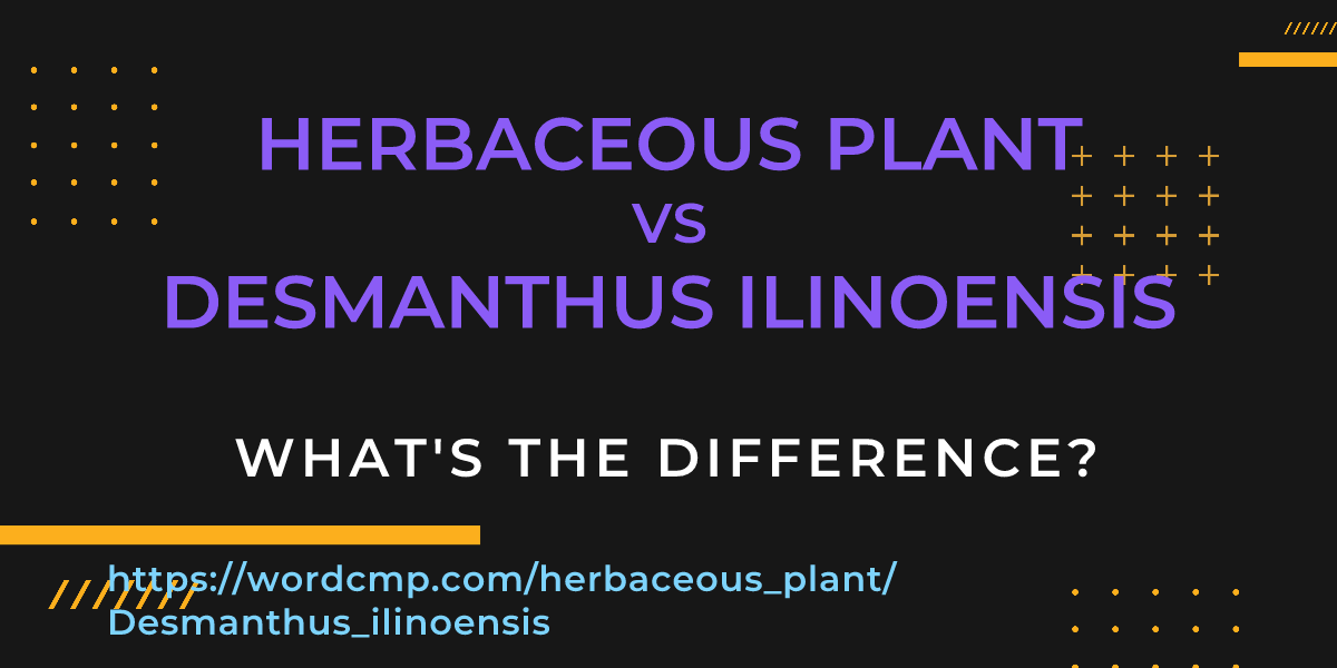 Difference between herbaceous plant and Desmanthus ilinoensis