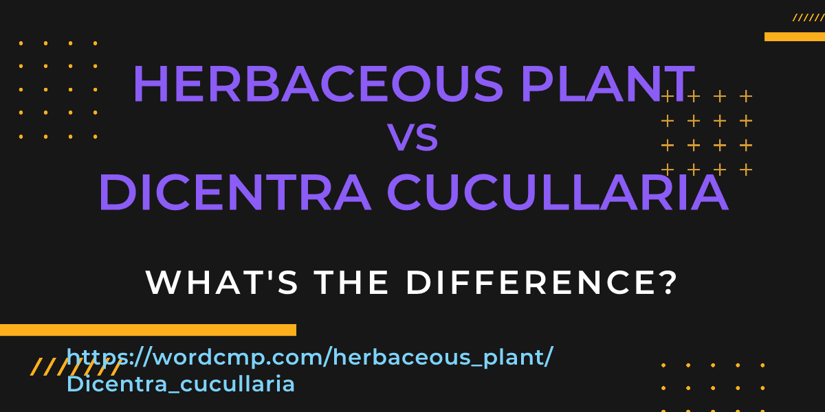 Difference between herbaceous plant and Dicentra cucullaria