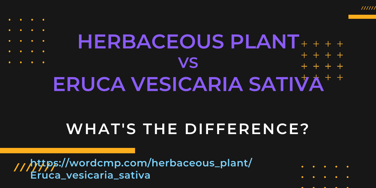 Difference between herbaceous plant and Eruca vesicaria sativa