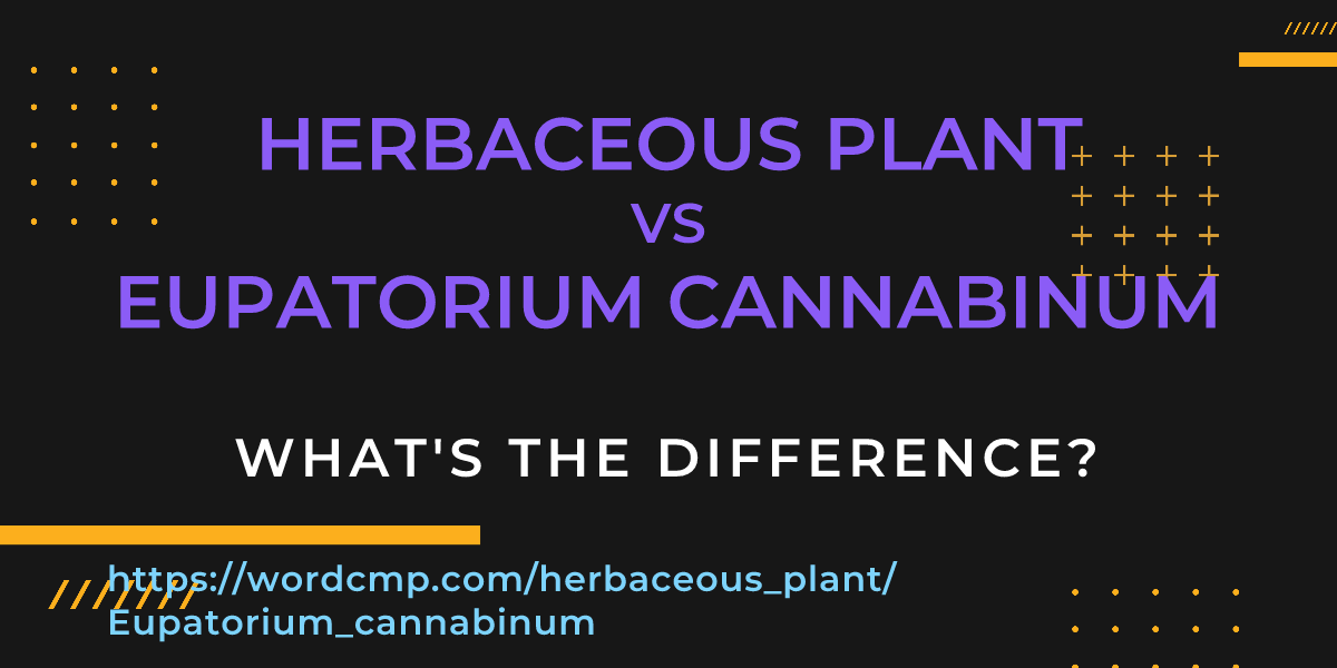 Difference between herbaceous plant and Eupatorium cannabinum