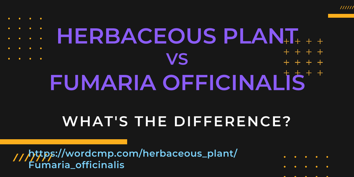 Difference between herbaceous plant and Fumaria officinalis