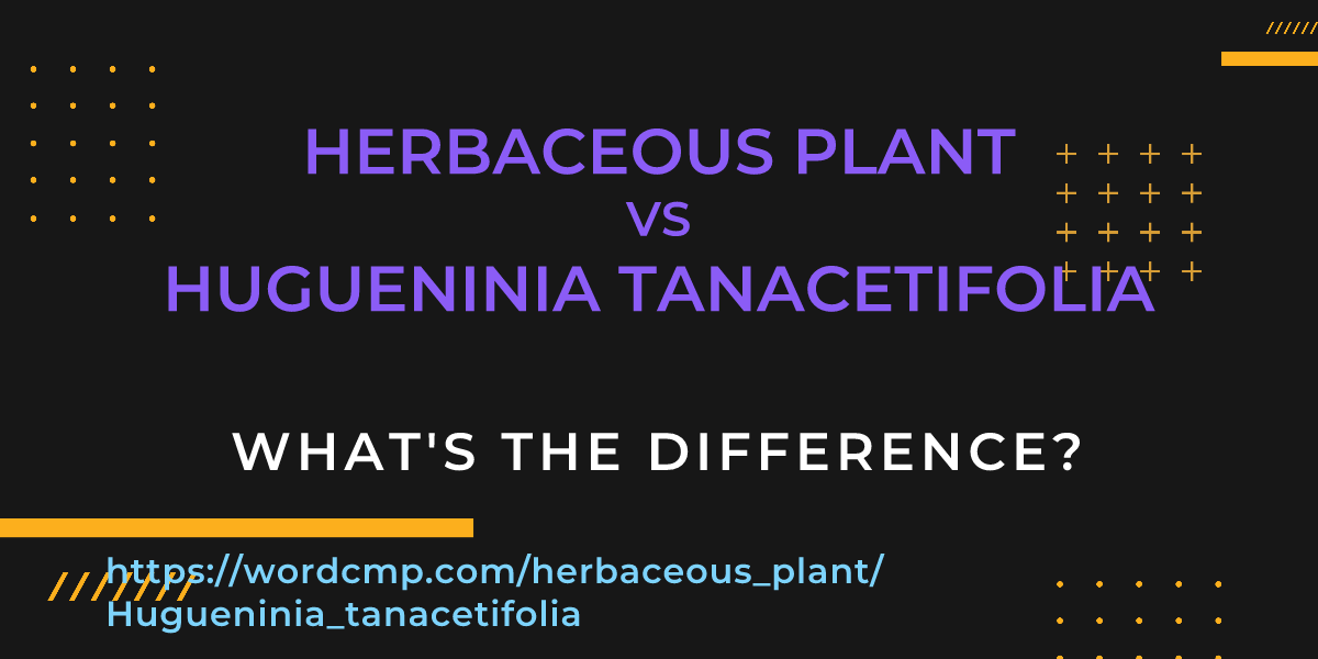 Difference between herbaceous plant and Hugueninia tanacetifolia