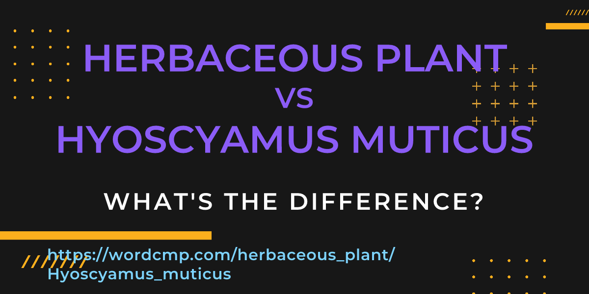 Difference between herbaceous plant and Hyoscyamus muticus