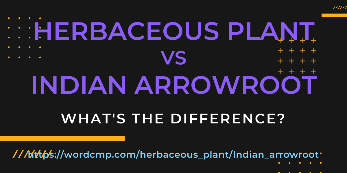 Difference between herbaceous plant and Indian arrowroot