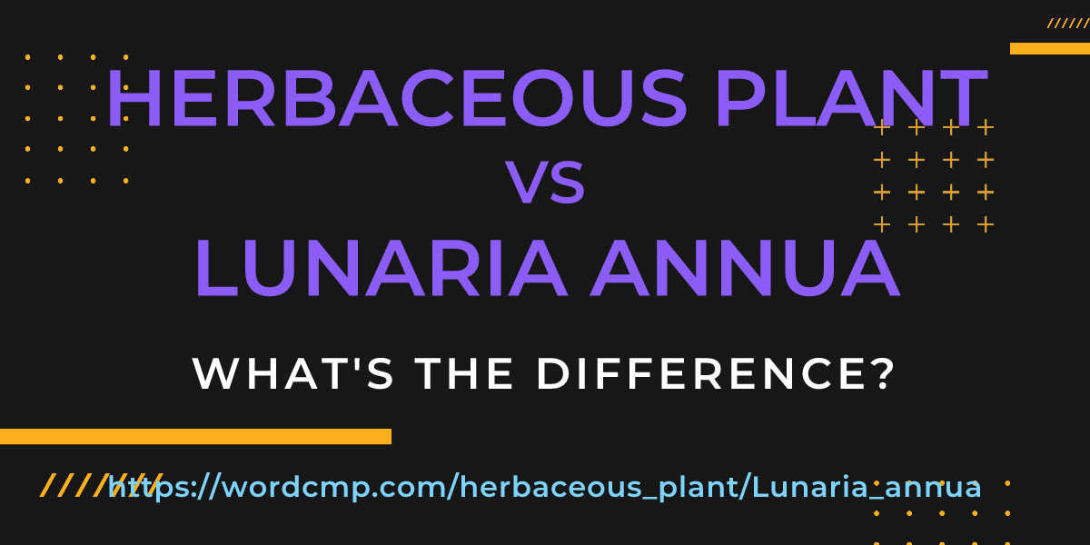 Difference between herbaceous plant and Lunaria annua