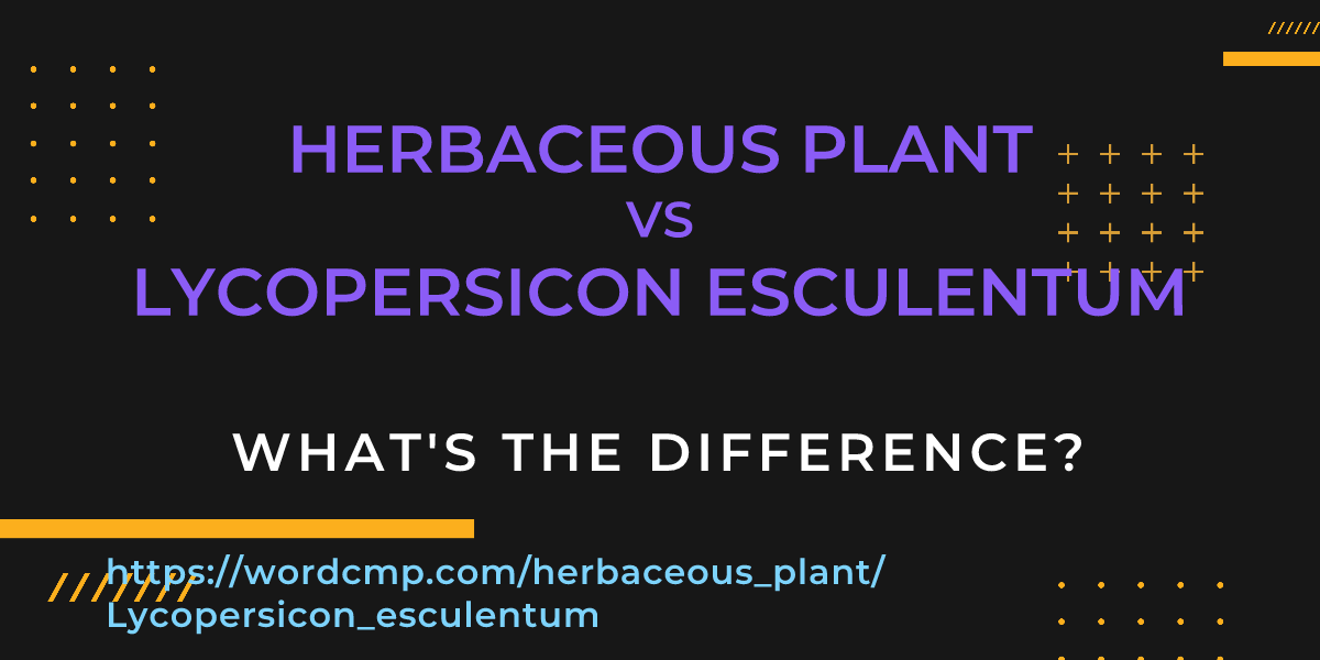 Difference between herbaceous plant and Lycopersicon esculentum
