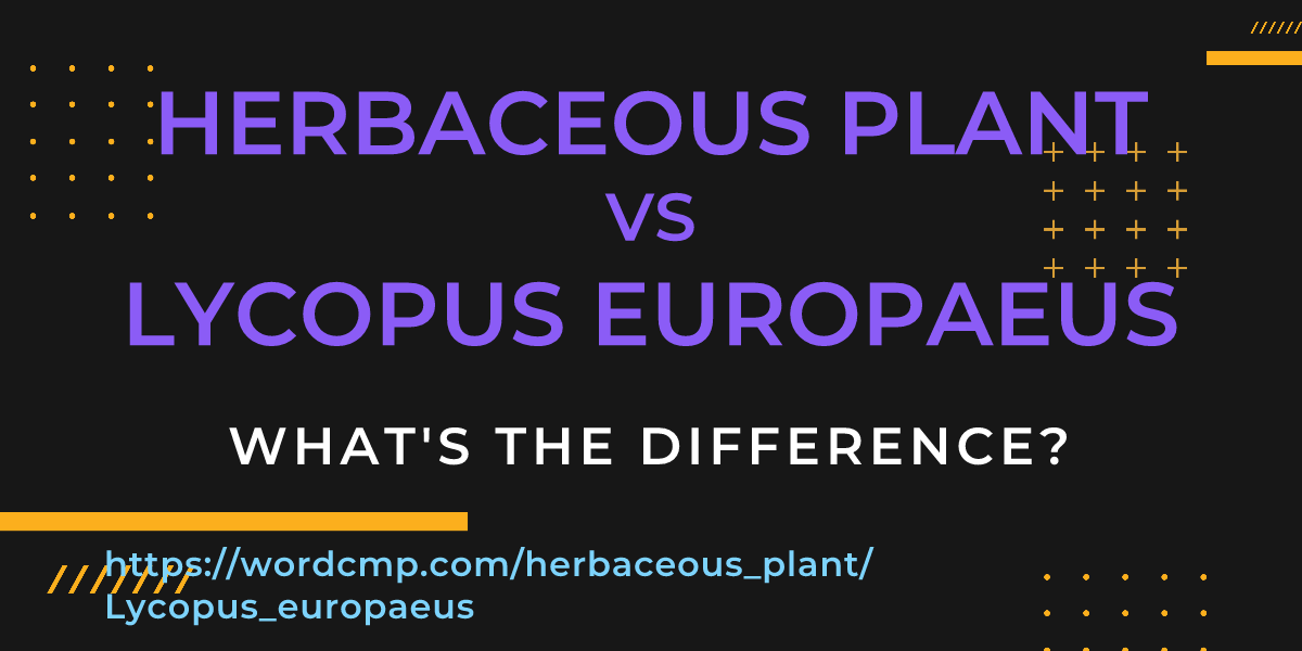 Difference between herbaceous plant and Lycopus europaeus
