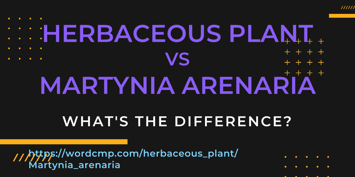 Difference between herbaceous plant and Martynia arenaria