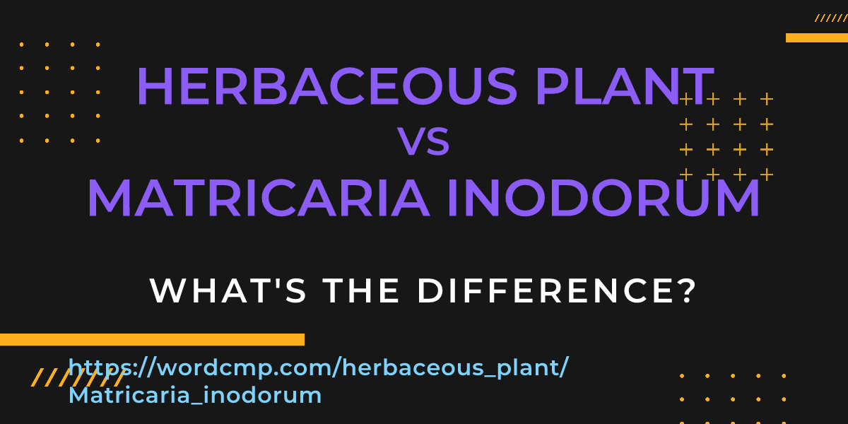 Difference between herbaceous plant and Matricaria inodorum