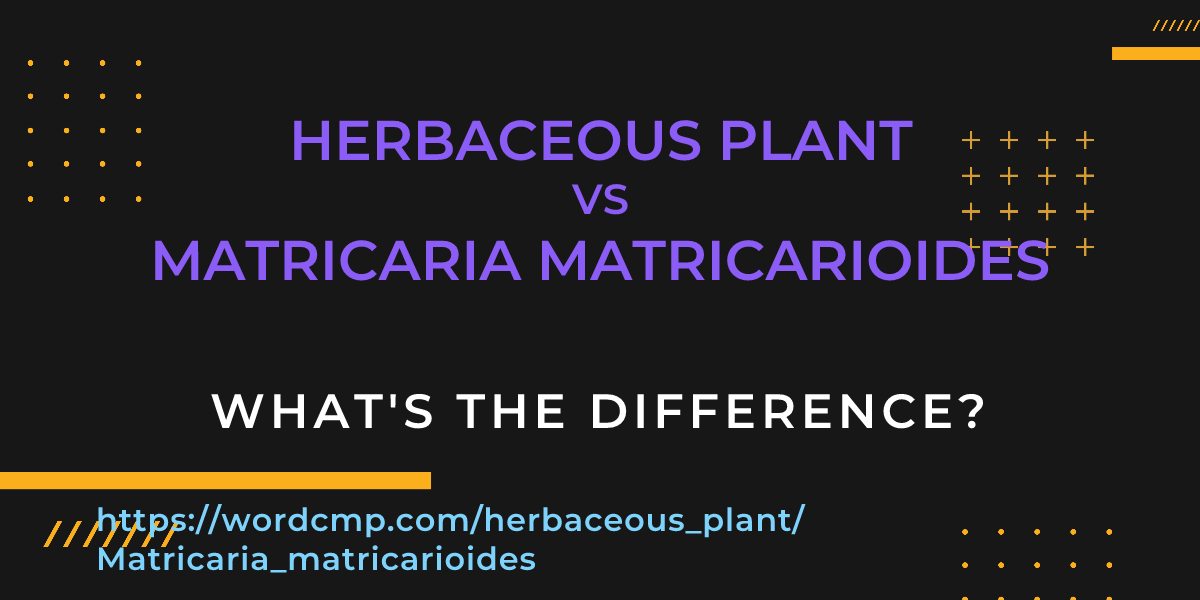 Difference between herbaceous plant and Matricaria matricarioides