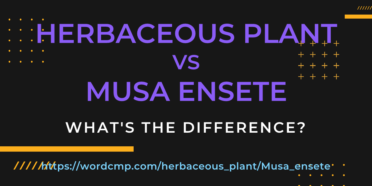 Difference between herbaceous plant and Musa ensete