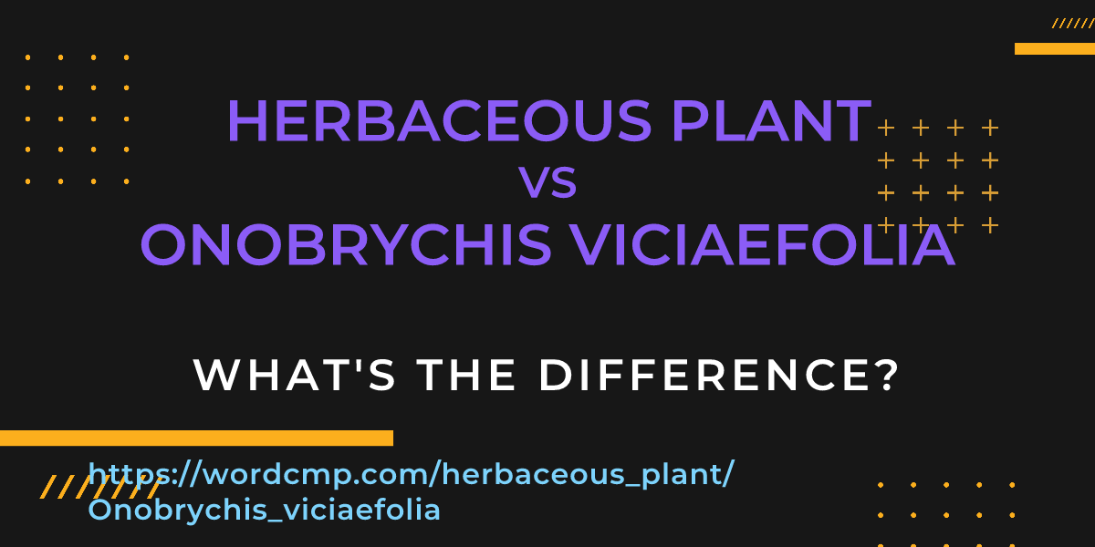 Difference between herbaceous plant and Onobrychis viciaefolia