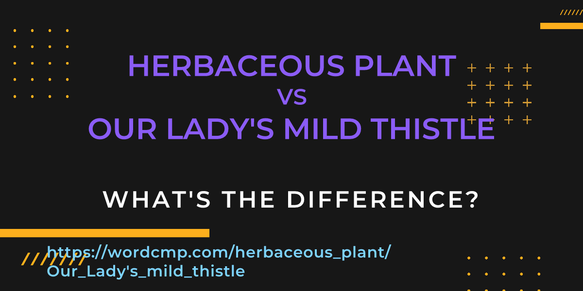 Difference between herbaceous plant and Our Lady's mild thistle