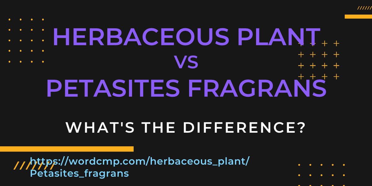 Difference between herbaceous plant and Petasites fragrans