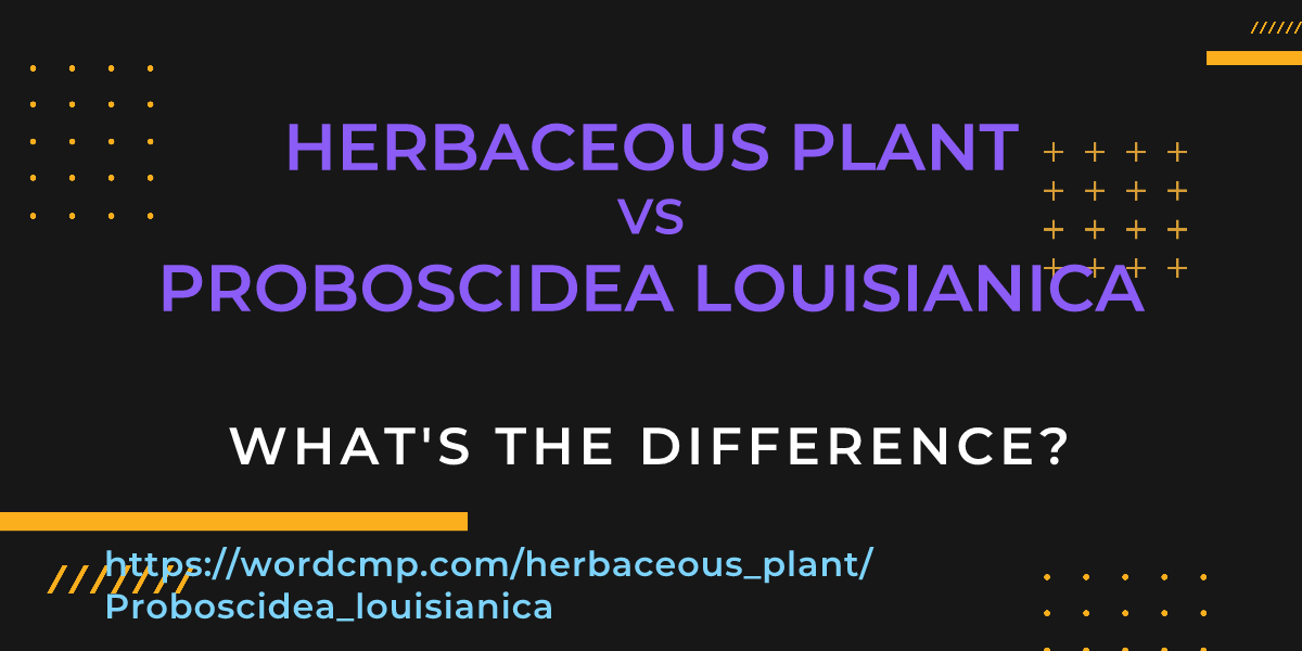 Difference between herbaceous plant and Proboscidea louisianica