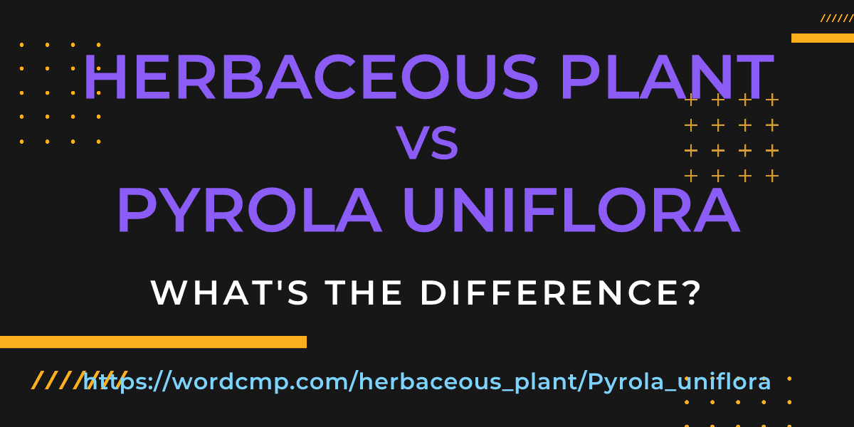 Difference between herbaceous plant and Pyrola uniflora