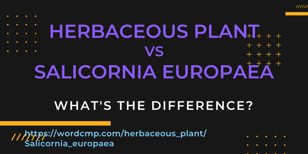 Difference between herbaceous plant and Salicornia europaea