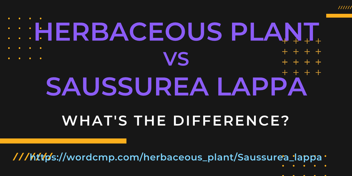 Difference between herbaceous plant and Saussurea lappa