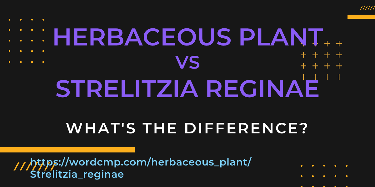 Difference between herbaceous plant and Strelitzia reginae