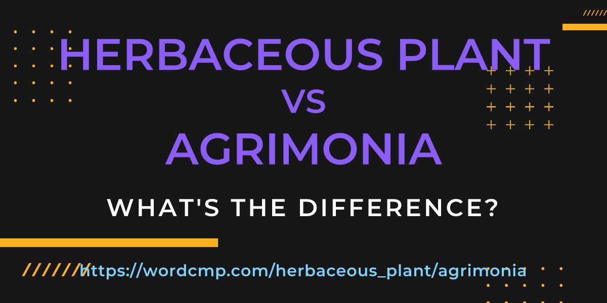 Difference between herbaceous plant and agrimonia