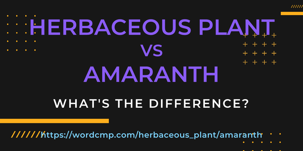 Difference between herbaceous plant and amaranth