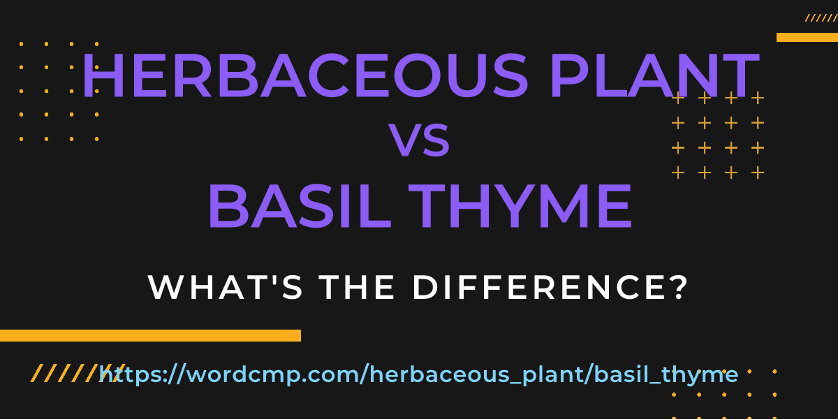 Difference between herbaceous plant and basil thyme