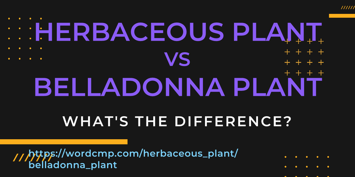 Difference between herbaceous plant and belladonna plant