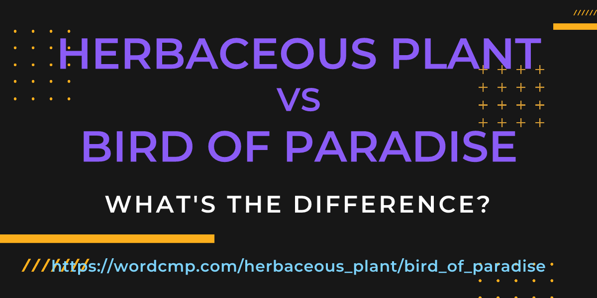 Difference between herbaceous plant and bird of paradise