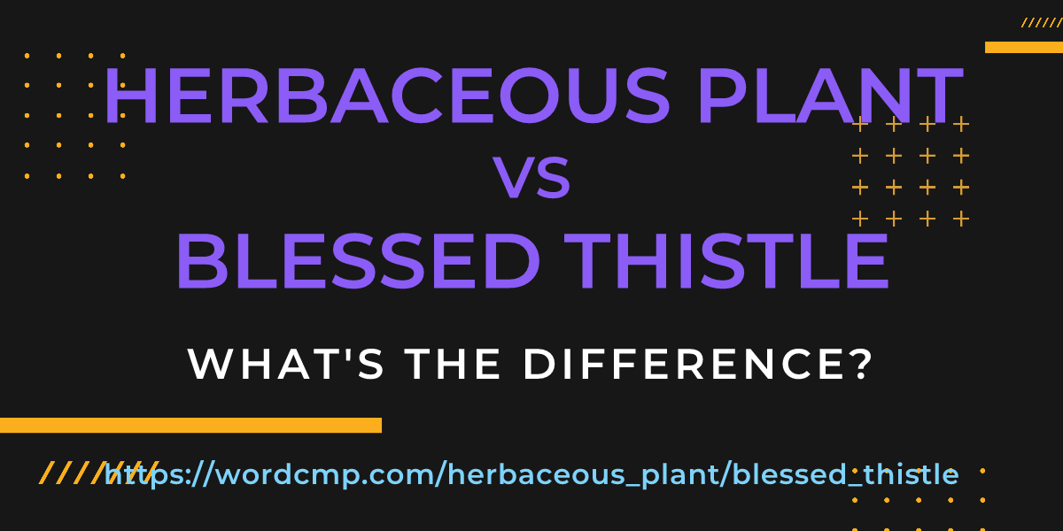 Difference between herbaceous plant and blessed thistle