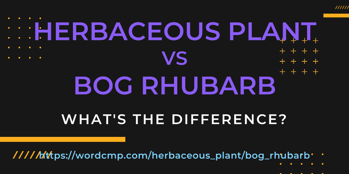 Difference between herbaceous plant and bog rhubarb
