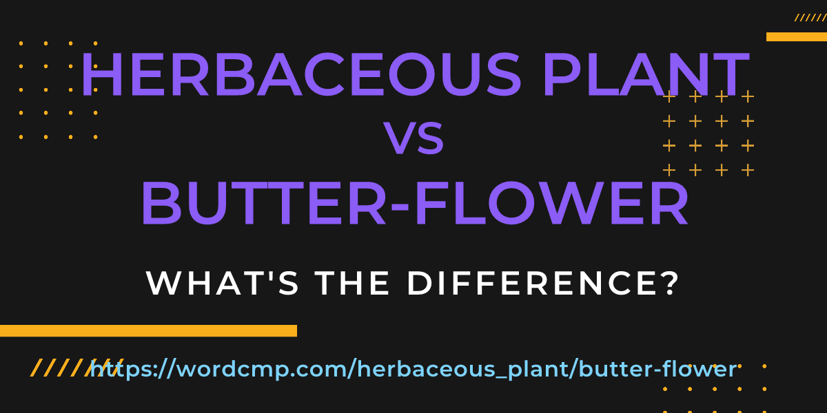 Difference between herbaceous plant and butter-flower