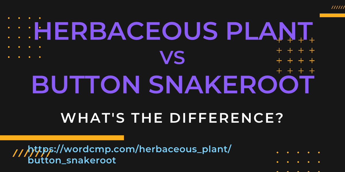 Difference between herbaceous plant and button snakeroot