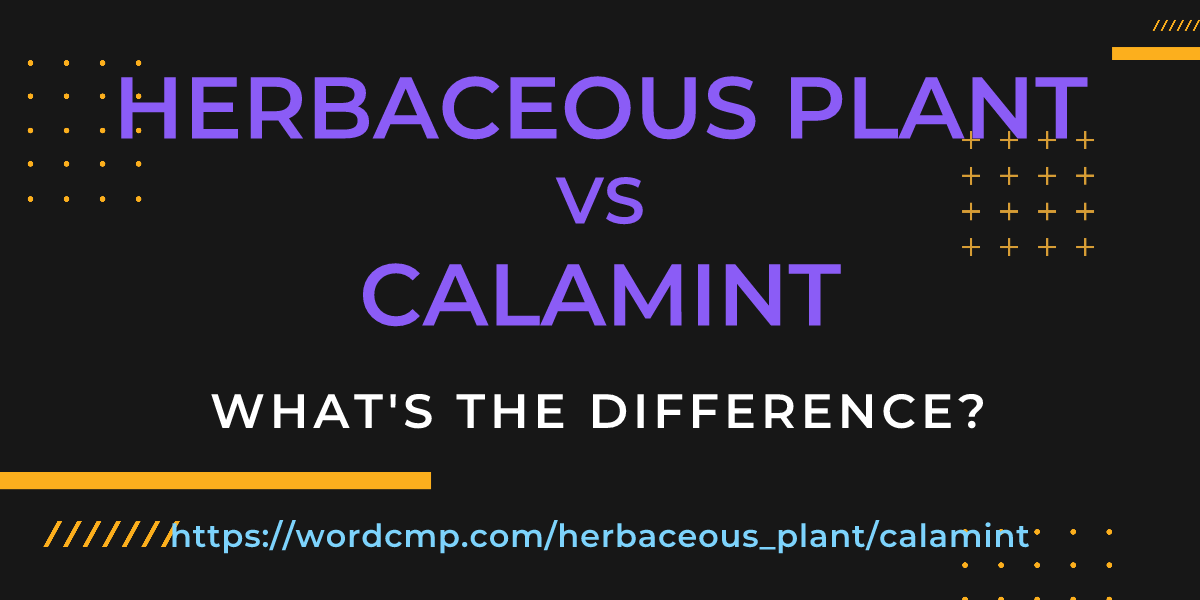 Difference between herbaceous plant and calamint