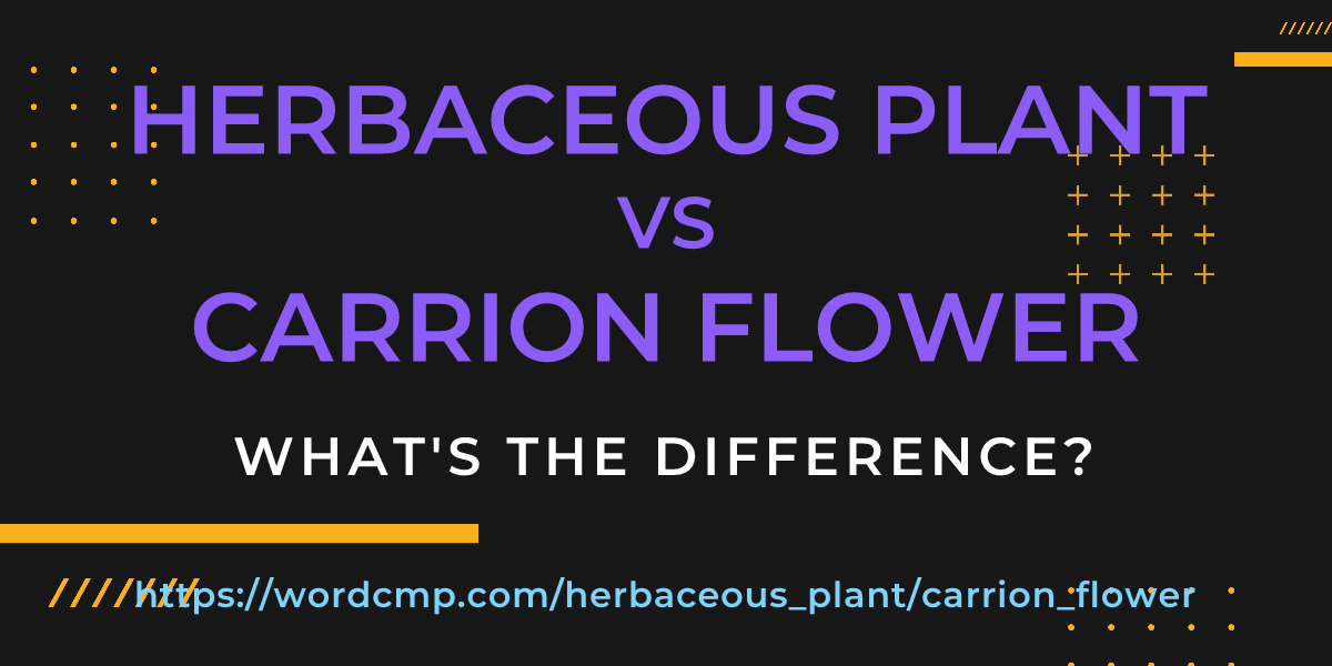 Difference between herbaceous plant and carrion flower