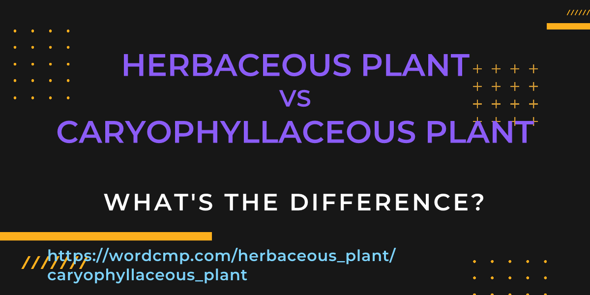 Difference between herbaceous plant and caryophyllaceous plant