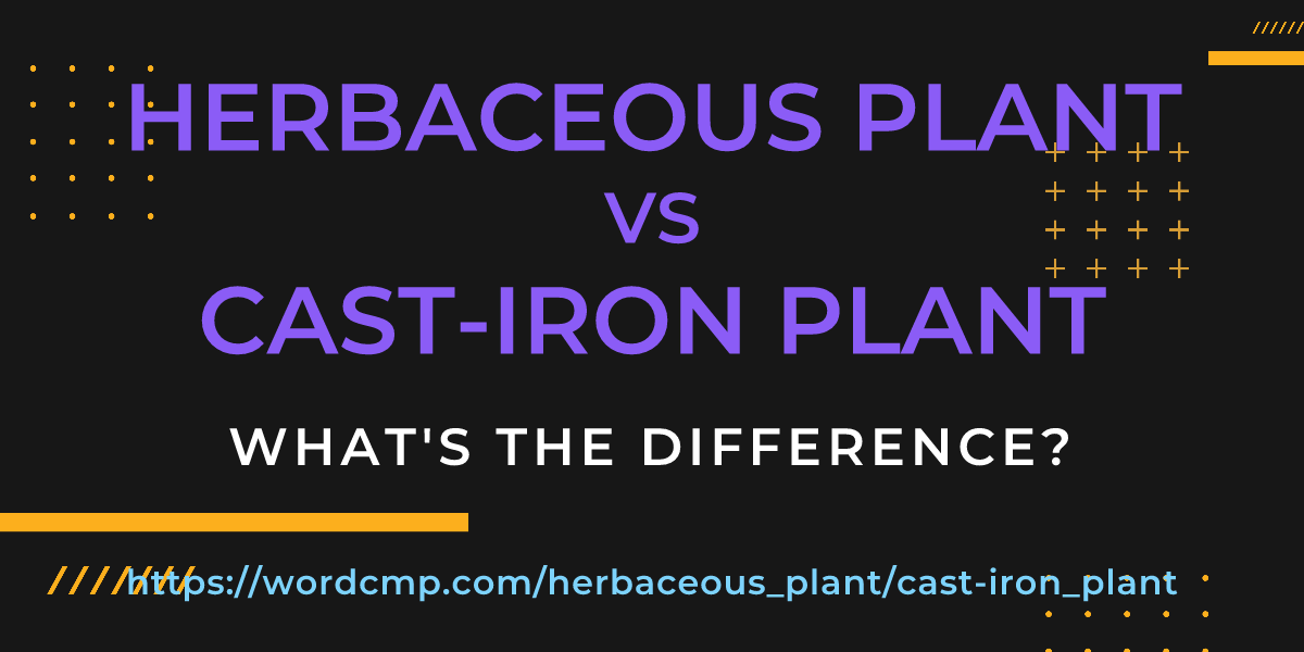 Difference between herbaceous plant and cast-iron plant