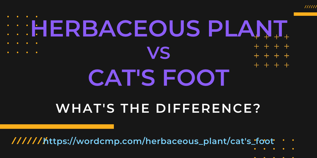 Difference between herbaceous plant and cat's foot