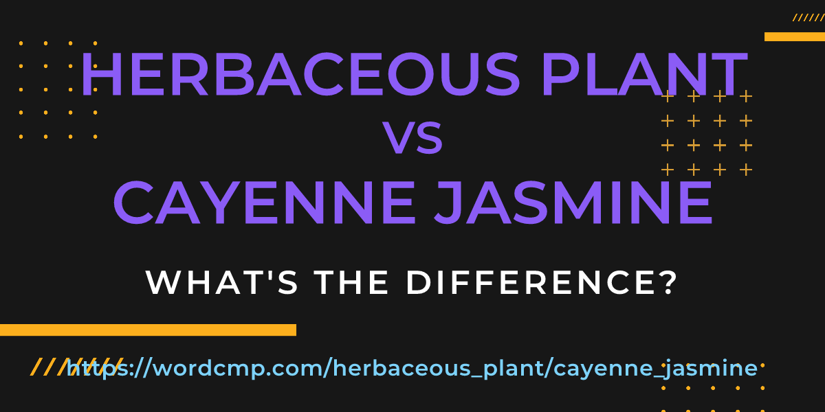 Difference between herbaceous plant and cayenne jasmine