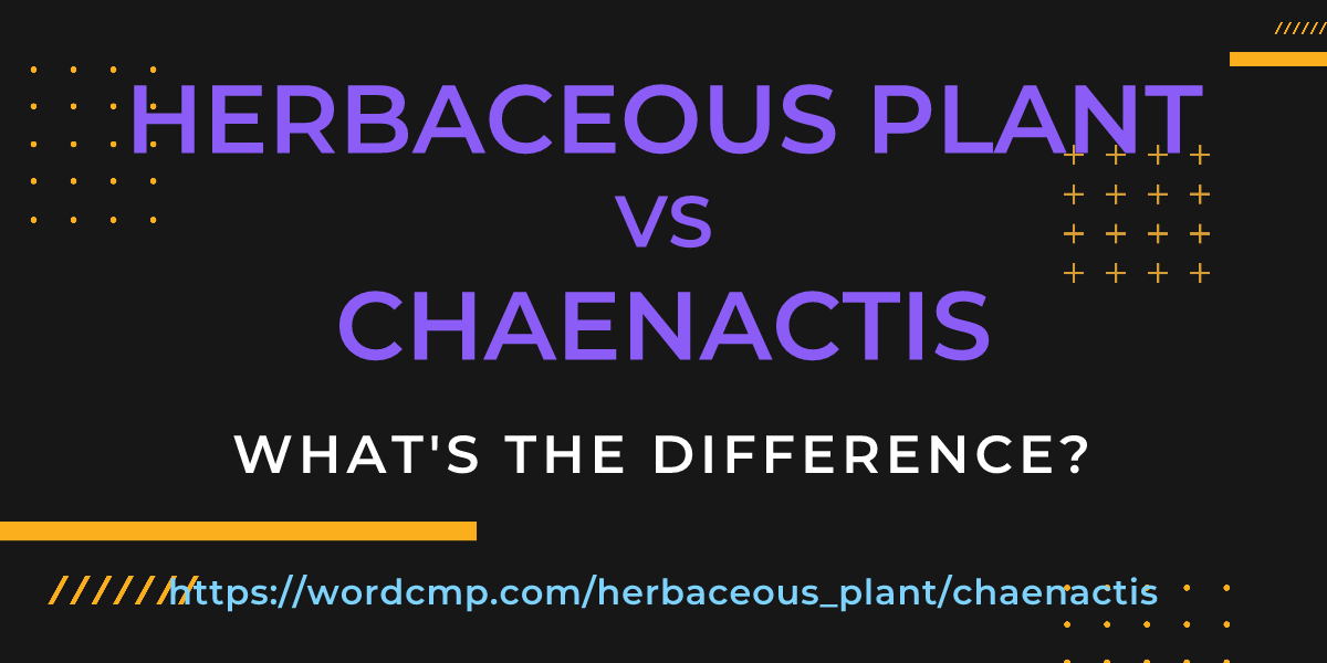 Difference between herbaceous plant and chaenactis