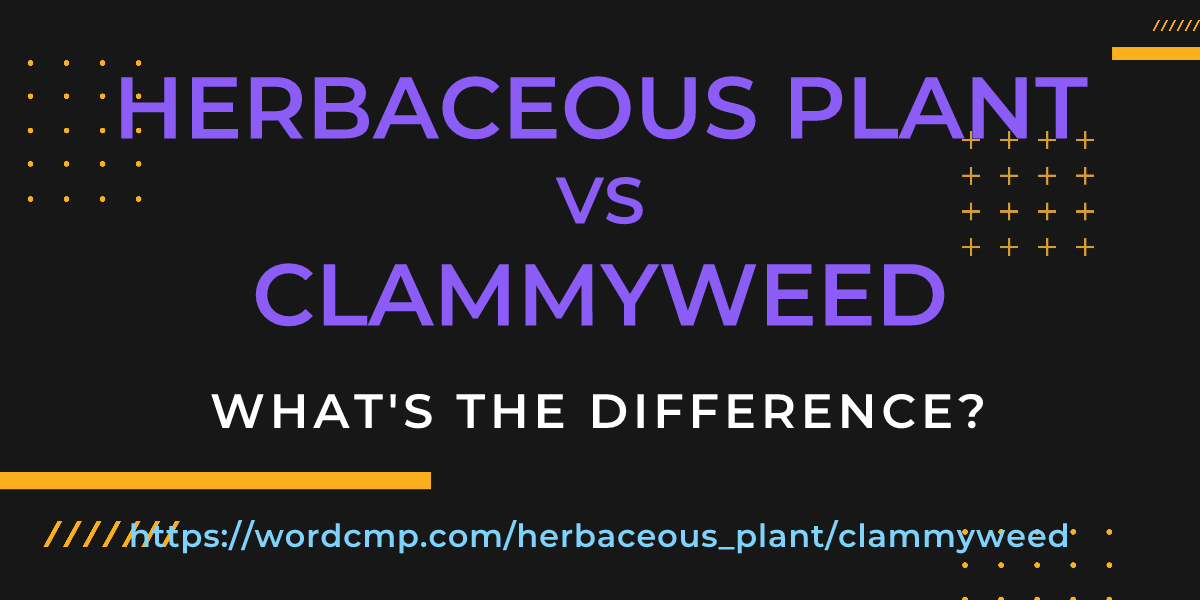 Difference between herbaceous plant and clammyweed