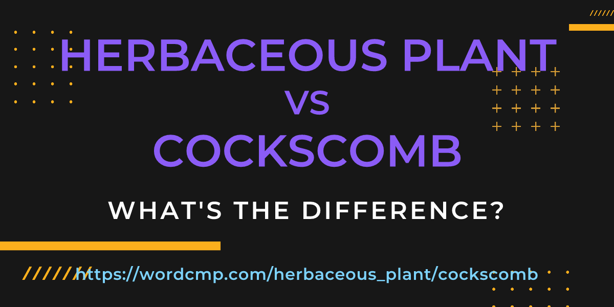Difference between herbaceous plant and cockscomb